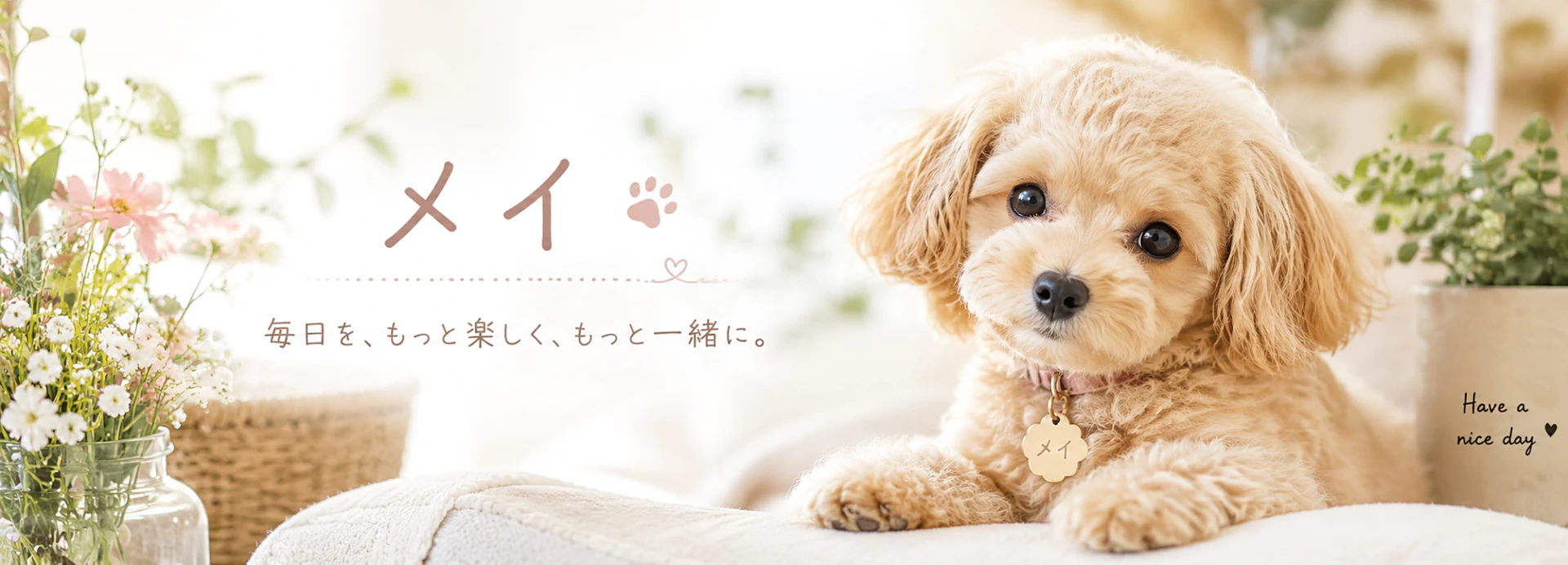 ブルスカとSNSの在り方