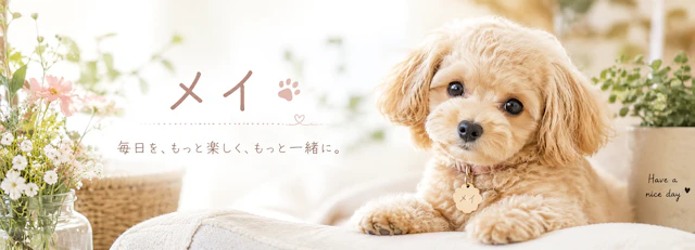 ブルスカとSNSの在り方