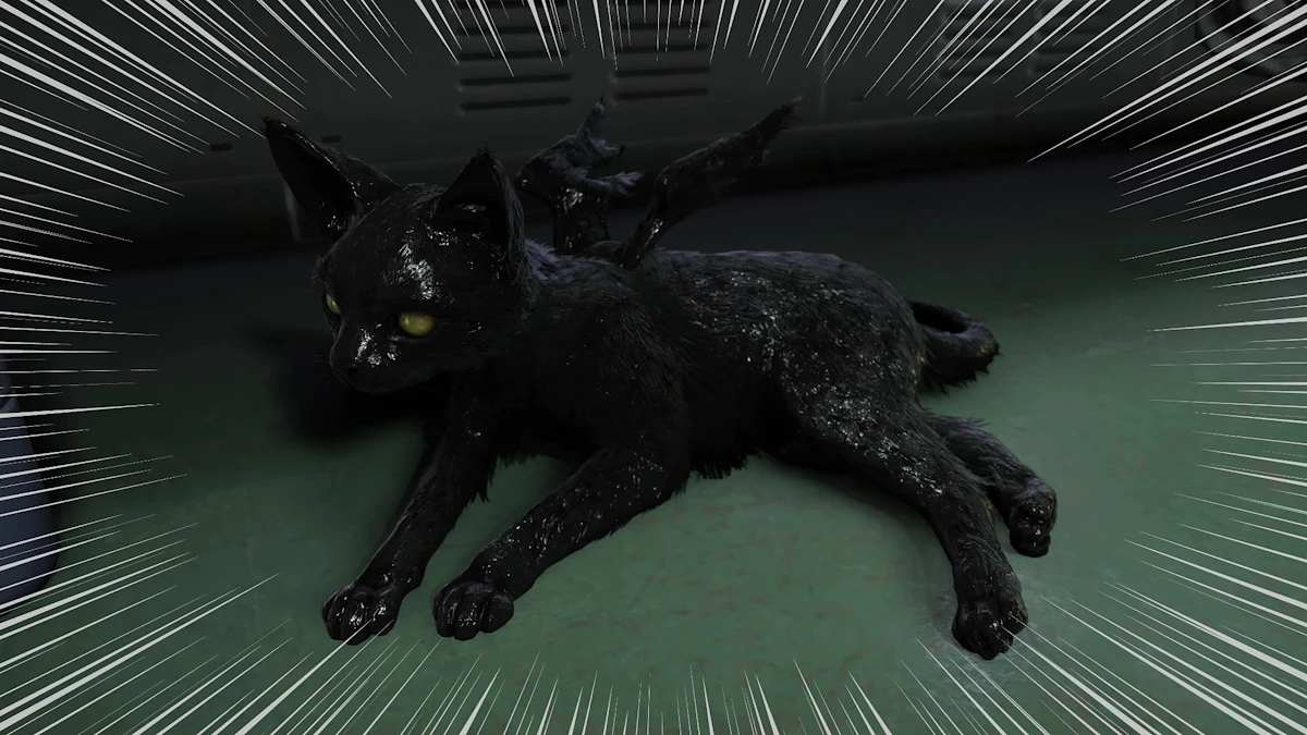 ねこちゃん