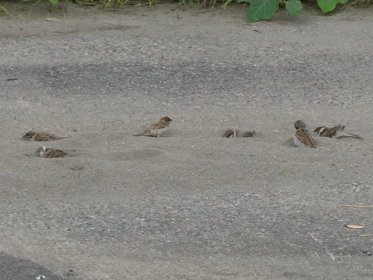 P1022512
