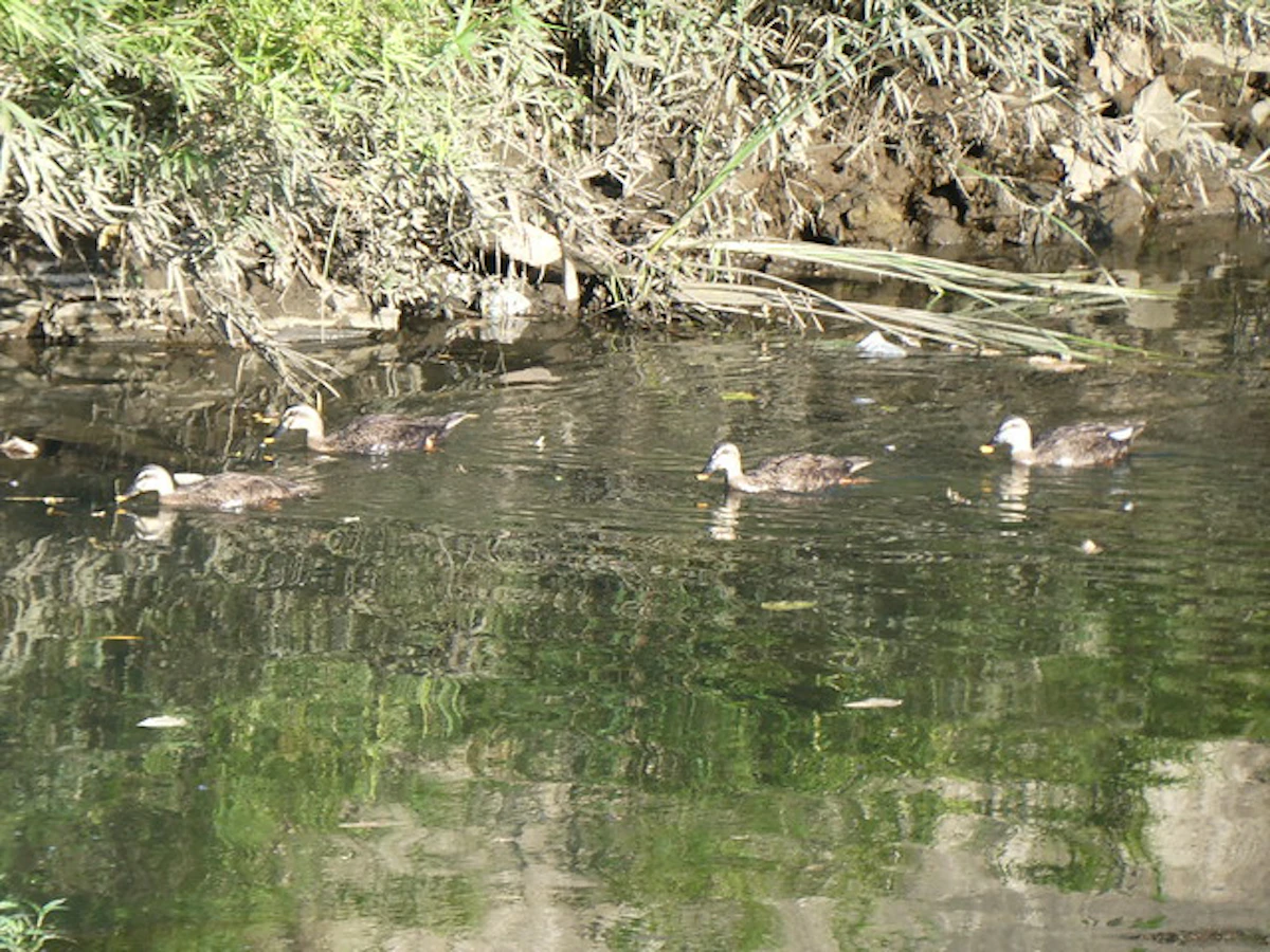 P1022589